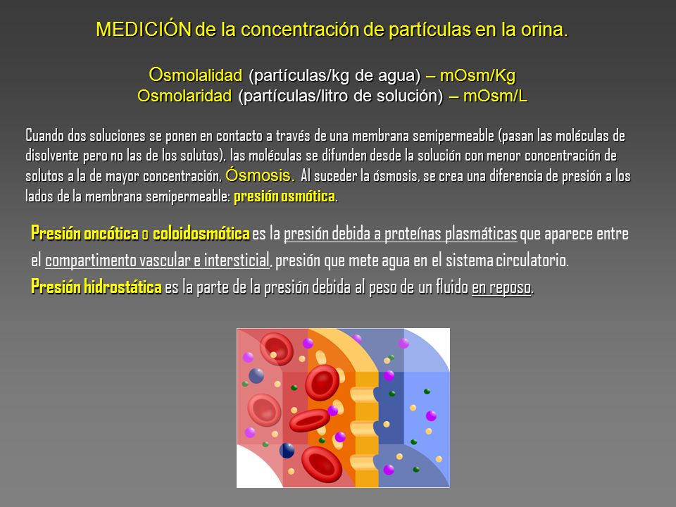 MEDICIÓN de la concentración de partículas en la orina.