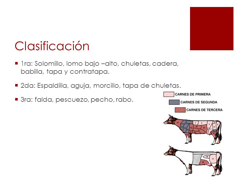 Clasificación 1ra: Solomillo, lomo bajo –alto, chuletas, cadera, babilla, tapa y contratapa. 2da: Espaldilla, aguja, morcillo, tapa de chuletas.