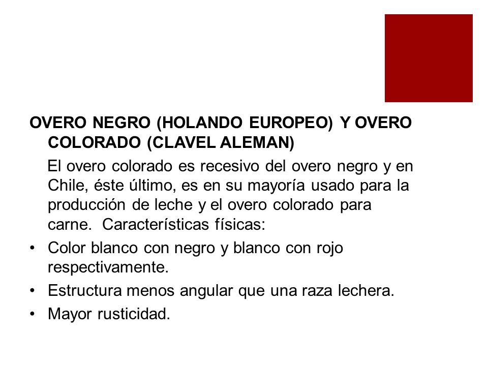 OVERO NEGRO (HOLANDO EUROPEO) Y OVERO COLORADO (CLAVEL ALEMAN)
