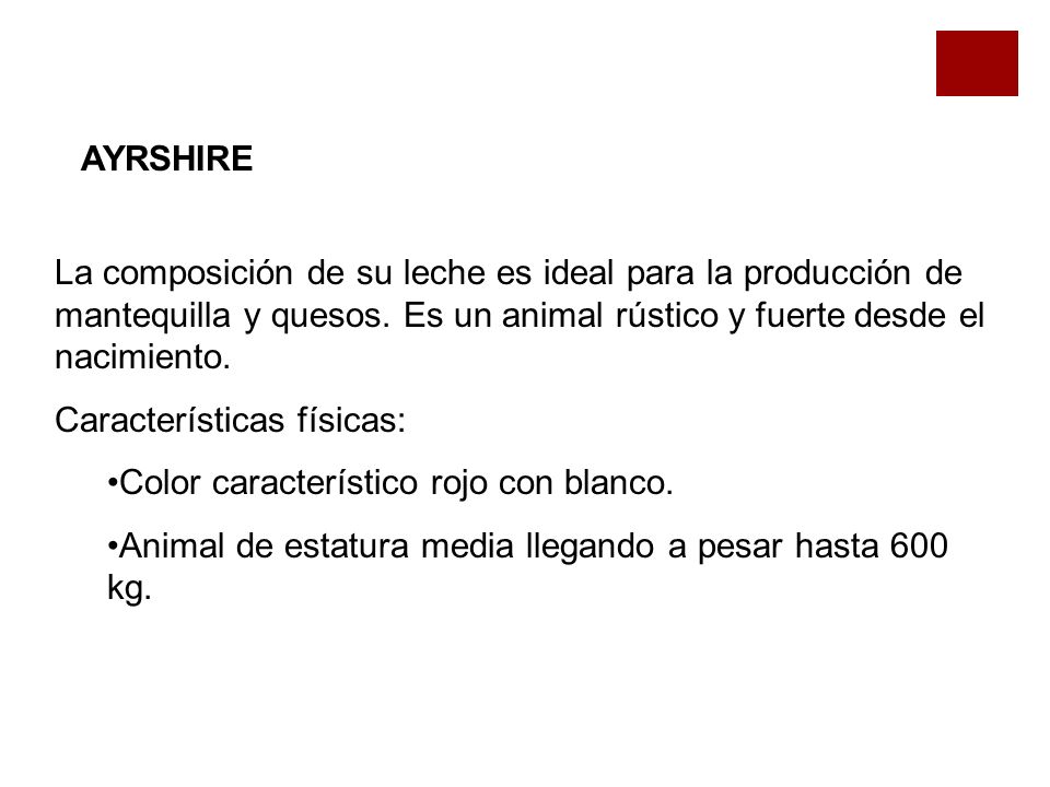 AYRSHIRE La composición de su leche es ideal para la producción de mantequilla y quesos. Es un animal rústico y fuerte desde el nacimiento.