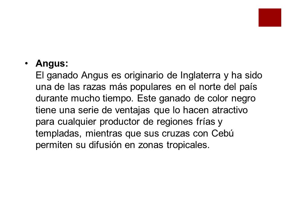 Angus: El ganado Angus es originario de Inglaterra y ha sido una de las razas más populares en el norte del país durante mucho tiempo.