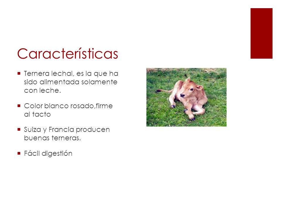 Características Ternera lechal, es la que ha sido alimentada solamente con leche. Color blanco rosado,firme al tacto.