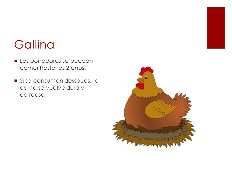 Gallina Las ponedoras se pueden comer hasta los 2 años.