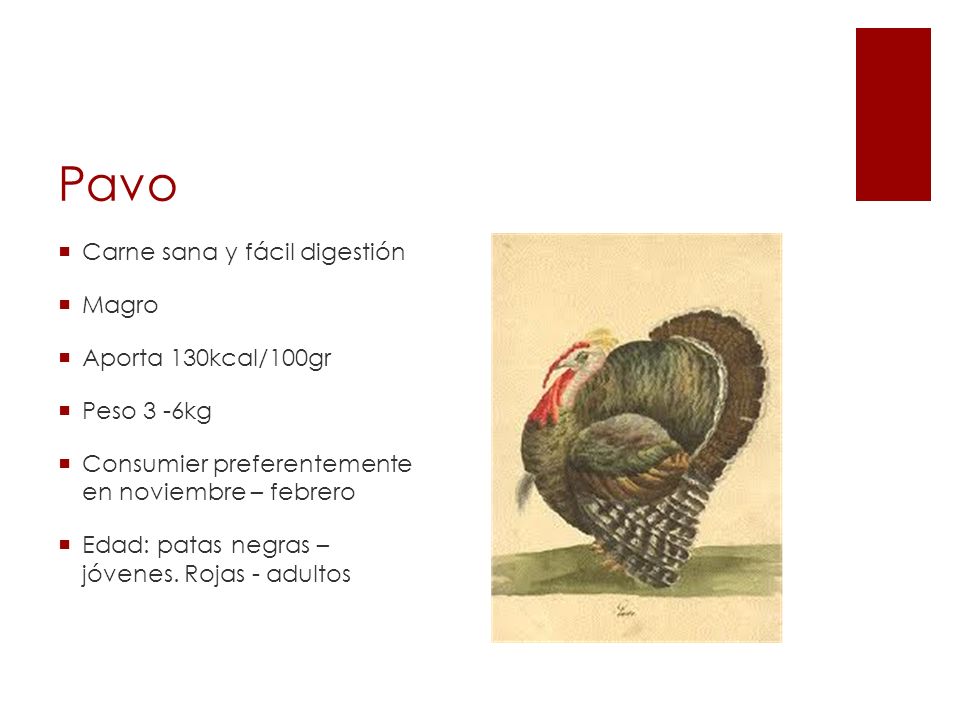 Pavo Carne sana y fácil digestión Magro Aporta 130kcal/100gr