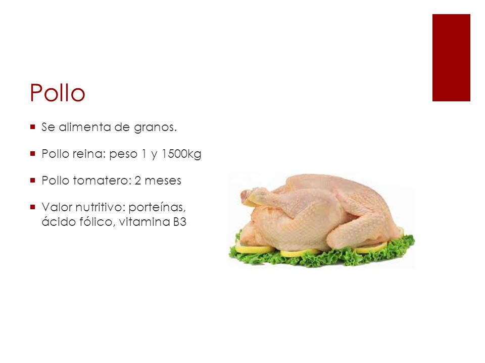 Pollo Se alimenta de granos. Pollo reina: peso 1 y 1500kg