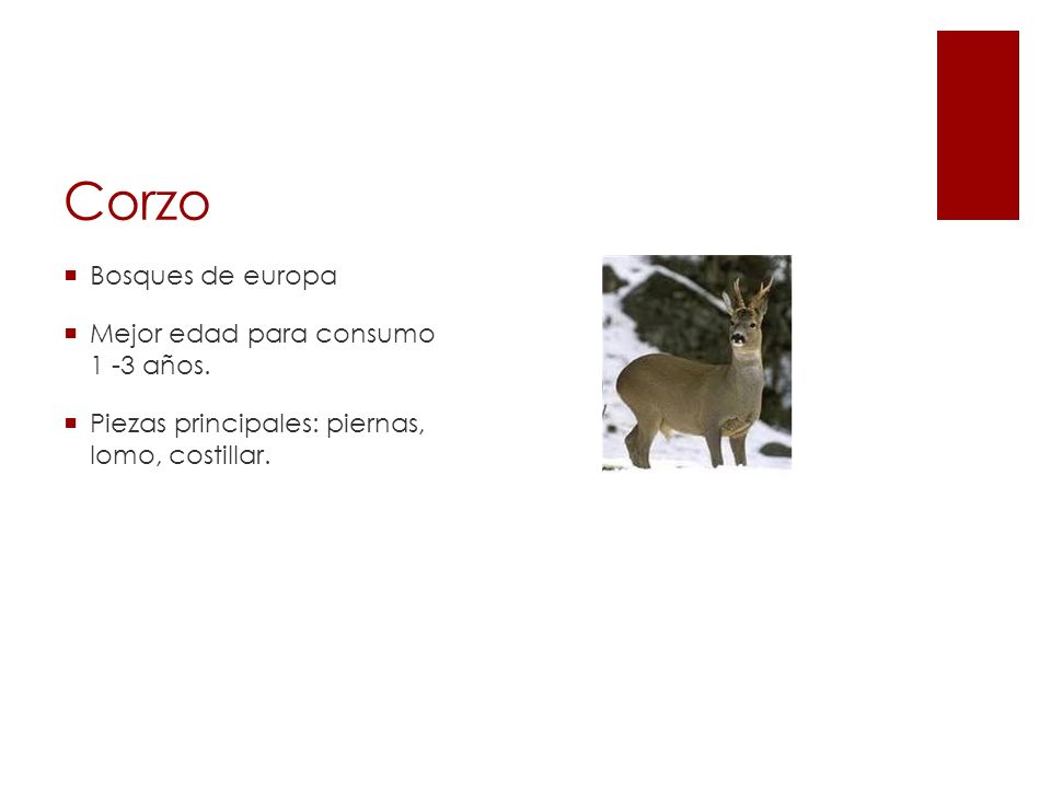 Corzo Bosques de europa Mejor edad para consumo 1 -3 años.
