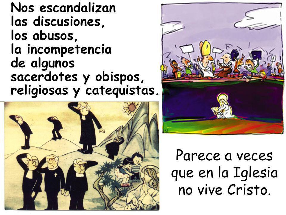 Parece a veces que en la Iglesia no vive Cristo. Nos escandalizan