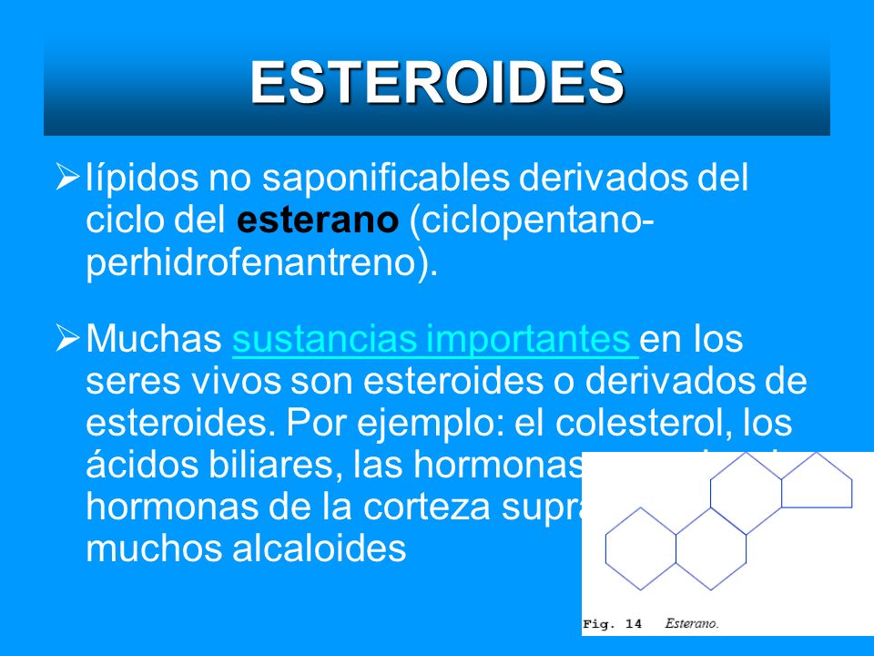 5 habilidades críticas para hacer venta de esteroides en guatemala Pérdida notablemente bien