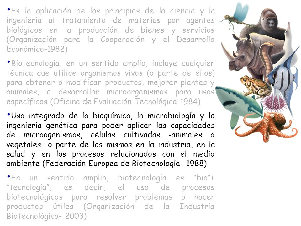 Es la aplicación de los principios de la ciencia y la ingeniería al tratamiento de materias por agentes biológicos en la producción de bienes y servicios (Organización para la Cooperación y el Desarrollo Económico-1982)