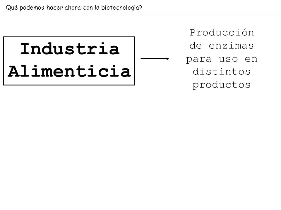Producción de enzimas para uso en distintos productos