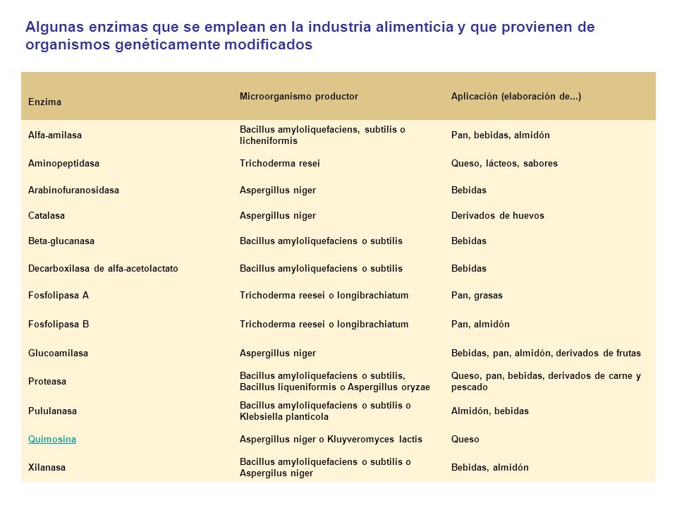 Algunas enzimas que se emplean en la industria alimenticia y que provienen de organismos genéticamente modificados