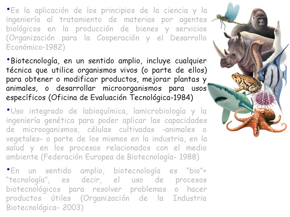 Es la aplicación de los principios de la ciencia y la ingeniería al tratamiento de materias por agentes biológicos en la producción de bienes y servicios (Organización para la Cooperación y el Desarrollo Económico-1982)