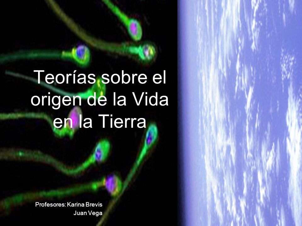 Teorías sobre el origen de la Vida en la Tierra