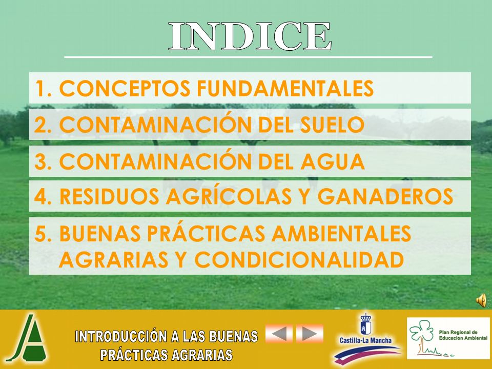 INDICE 1. CONCEPTOS FUNDAMENTALES 2. CONTAMINACIÓN DEL SUELO