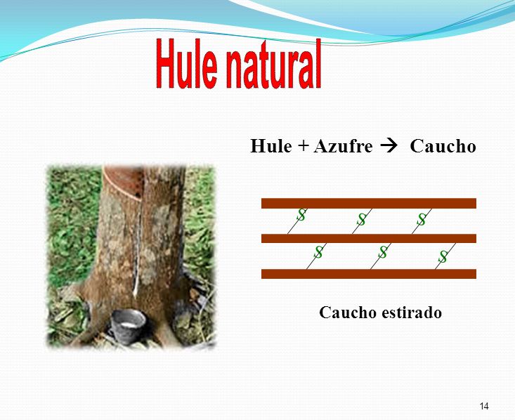 Hule natural Hule + Azufre  Caucho S S S S S S Caucho estirado