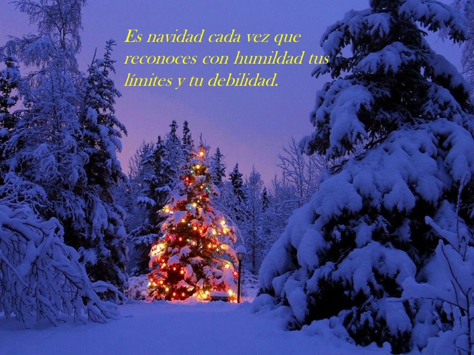 Es navidad cada vez que reconoces con humildad tus límites y tu debilidad.