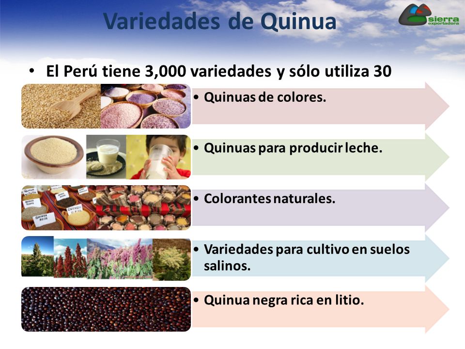 Variedades de Quinua El Perú tiene 3,000 variedades y sólo utiliza 30