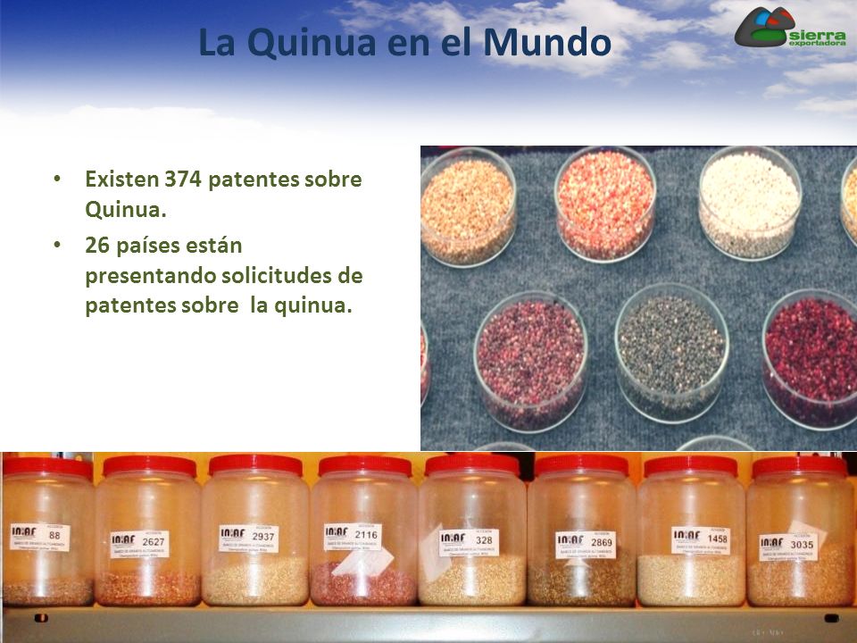 La Quinua en el Mundo Existen 374 patentes sobre Quinua.