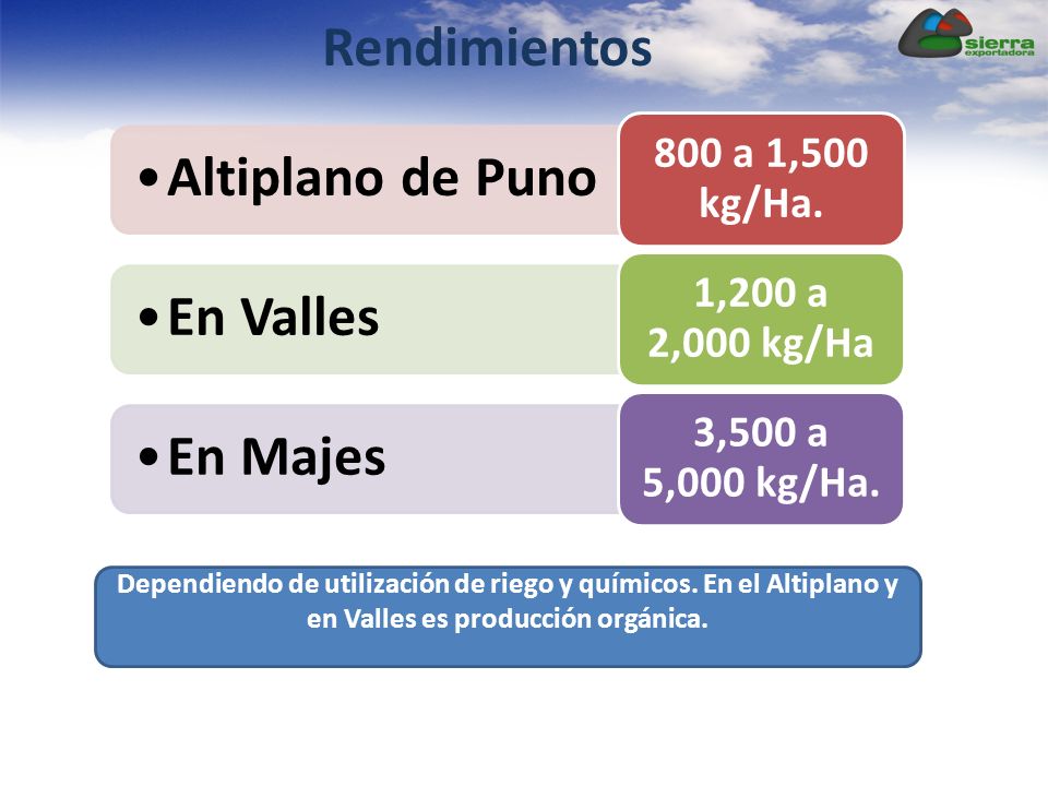 Rendimientos 800 a 1,500 kg/Ha. Altiplano de Puno. 1,200 a 2,000 kg/Ha. En Valles. 3,500 a 5,000 kg/Ha.