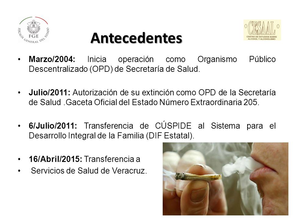 Antecedentes Marzo/2004: Inicia operación como Organismo Público Descentralizado (OPD) de Secretaría de Salud.