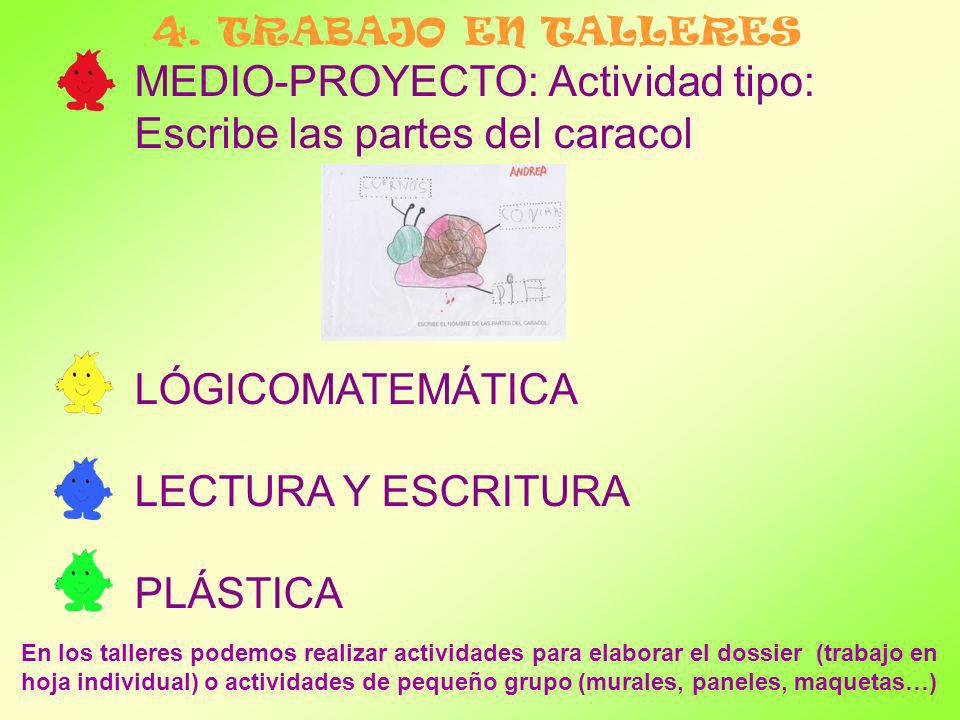 MEDIO-PROYECTO: Actividad tipo: Escribe las partes del caracol