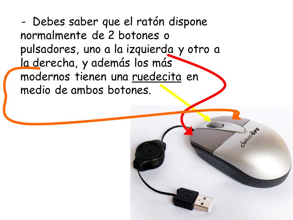 - Debes saber que el ratón dispone normalmente de 2 botones o pulsadores, uno a la izquierda y otro a la derecha, y además los más modernos tienen una ruedecita en medio de ambos botones.