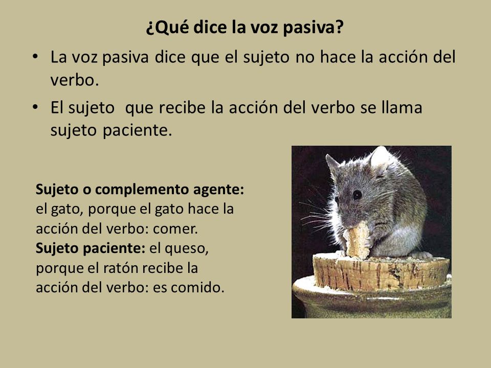 ¿Qué dice la voz pasiva La voz pasiva dice que el sujeto no hace la acción del verbo.