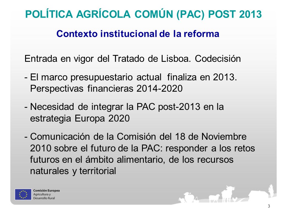 POLÍTICA AGRÍCOLA COMÚN (PAC) POST 2013