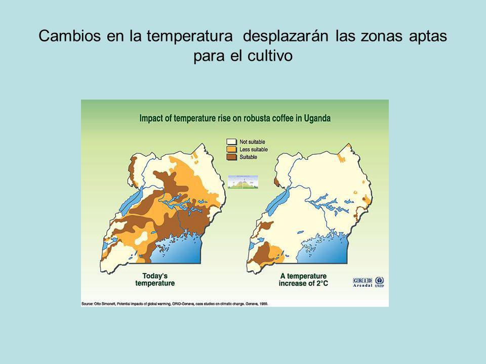 Cambios en la temperatura desplazarán las zonas aptas para el cultivo