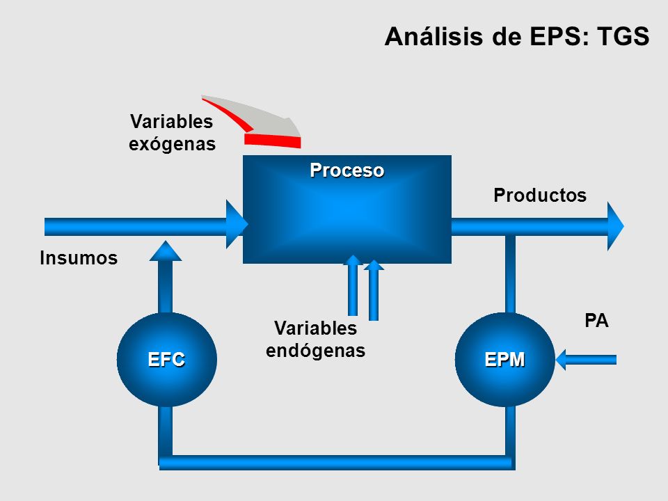 Análisis de EPS: TGS Variables exógenas Proceso Productos Insumos PA