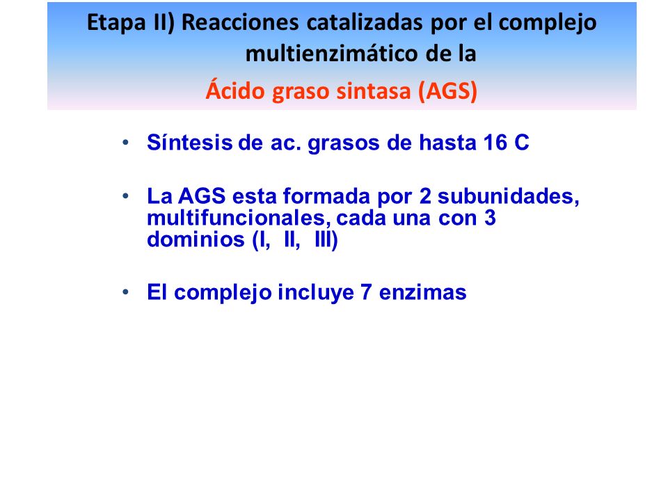 Etapa II) Reacciones catalizadas por el complejo multienzimático de la
