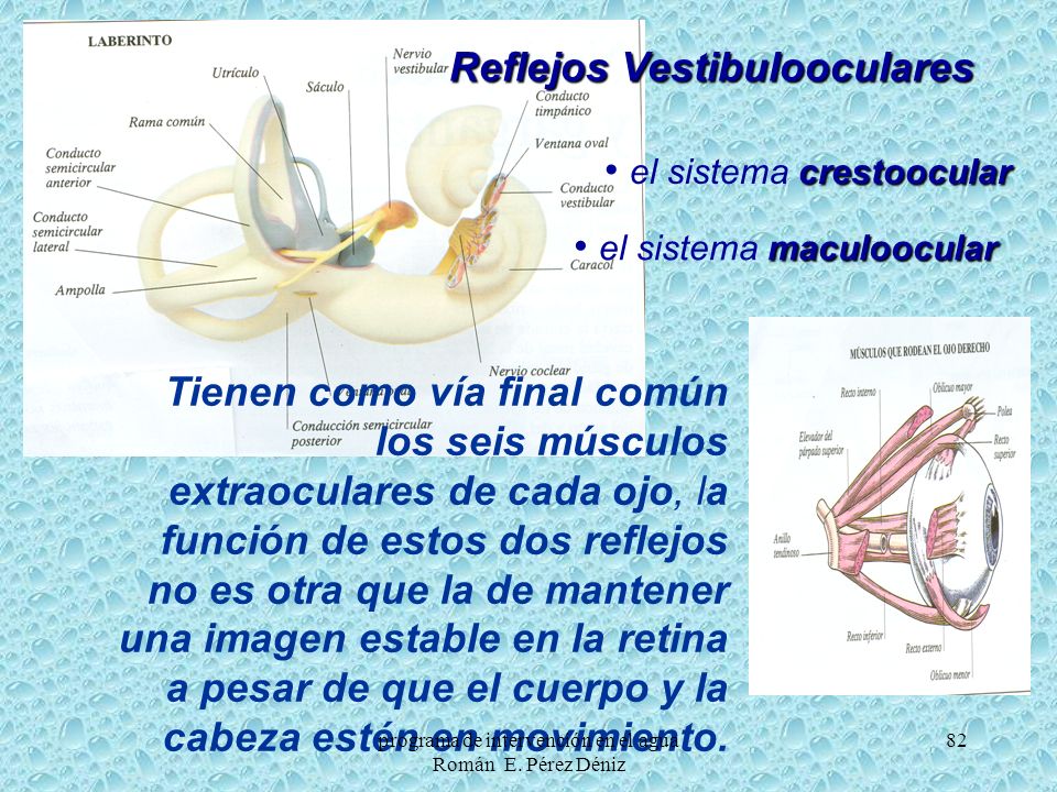 programa de intervención en el agua Román E. Pérez Déniz