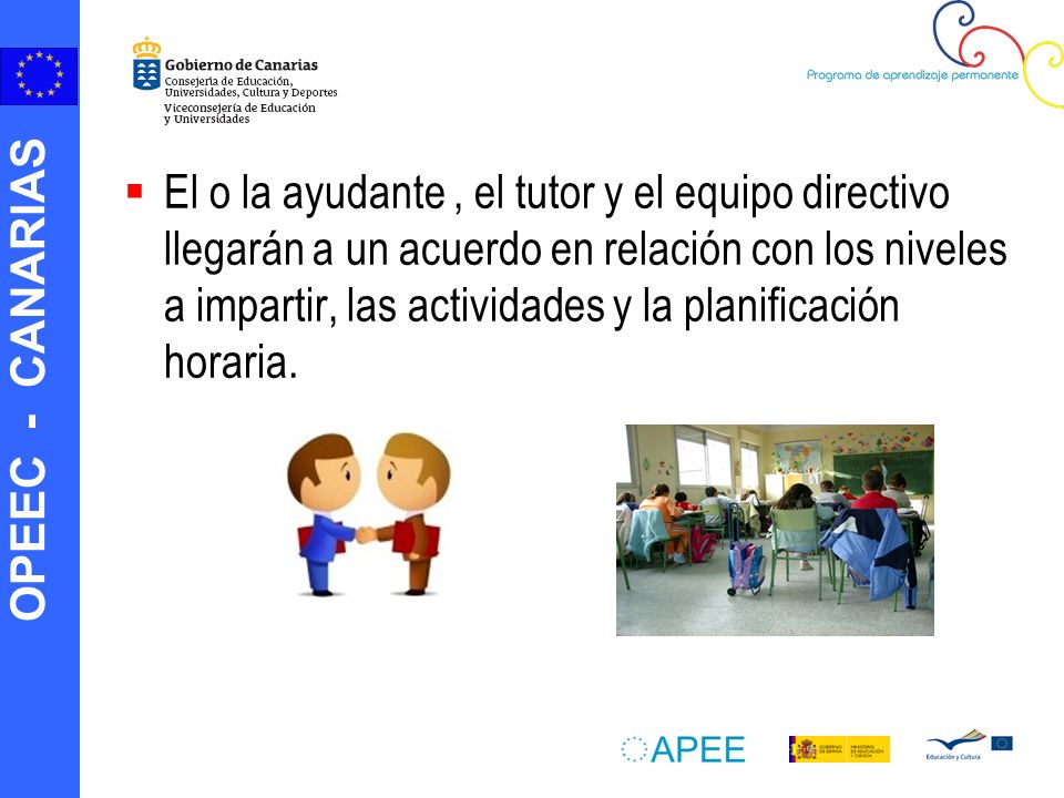 El o la ayudante , el tutor y el equipo directivo llegarán a un acuerdo en relación con los niveles a impartir, las actividades y la planificación horaria.