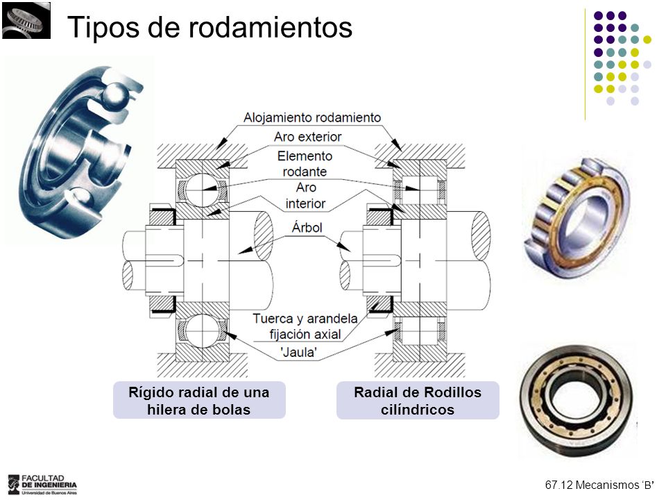 Rígido radial de una hilera de bolas Radial de Rodillos cilíndricos