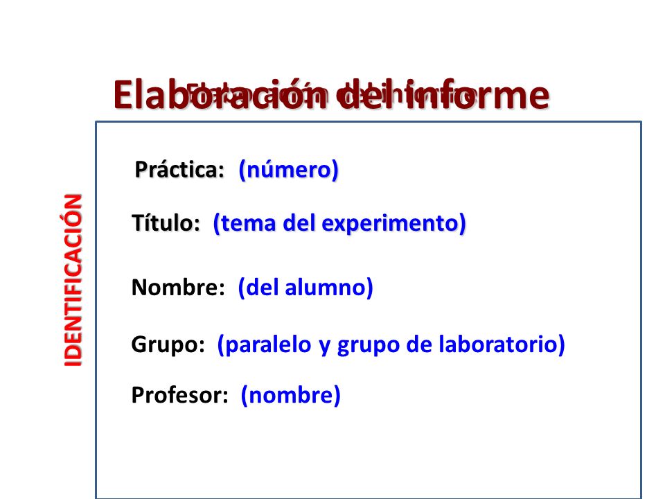 Elaboración del informe Elaboración del informe