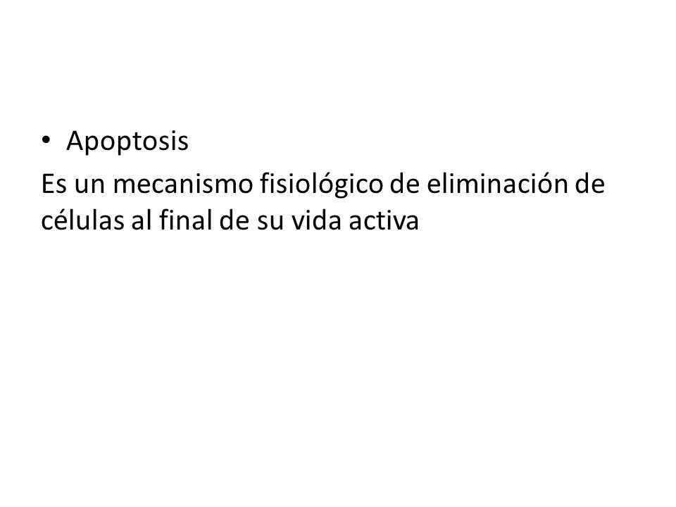 Apoptosis Es un mecanismo fisiológico de eliminación de células al final de su vida activa