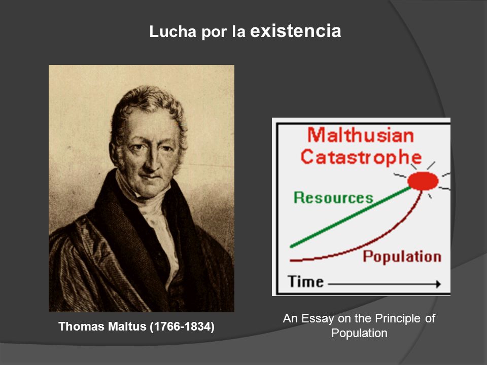 Lucha por la existencia