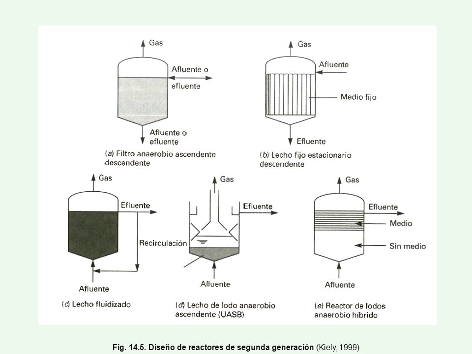 Fig Diseño de reactores de segunda generación (Kiely, 1999)