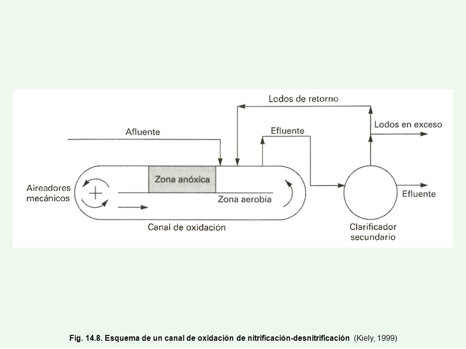 Fig Esquema de un canal de oxidación de nitrificación-desnitrificación (Kiely, 1999)