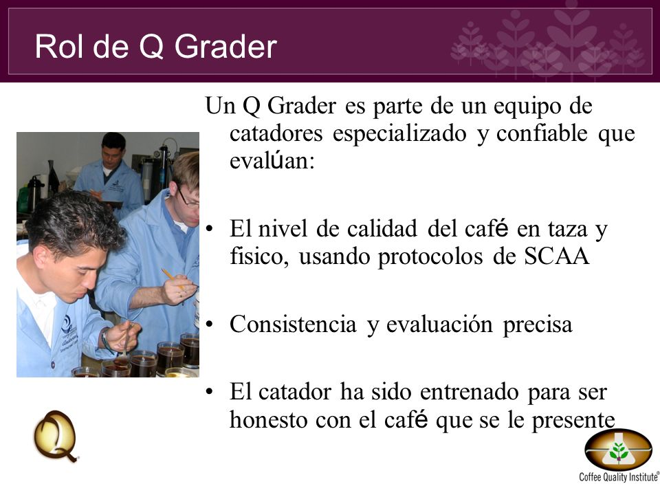Rol de Q Grader Un Q Grader es parte de un equipo de catadores especializado y confiable que evalúan: