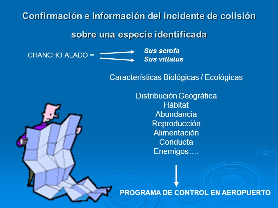 Confirmación e Información del incidente de colisión sobre una especie identificada
