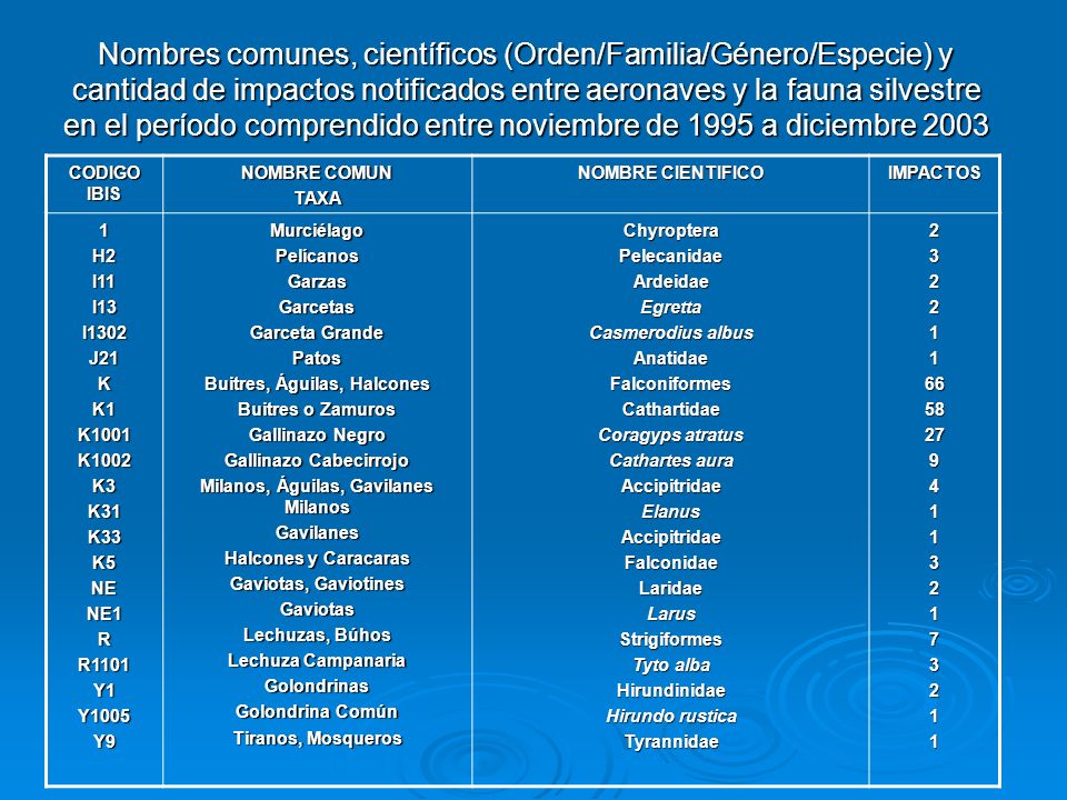 Nombres comunes, científicos (Orden/Familia/Género/Especie) y cantidad de impactos notificados entre aeronaves y la fauna silvestre en el período comprendido entre noviembre de 1995 a diciembre 2003