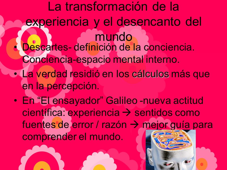 La transformación de la experiencia y el desencanto del mundo