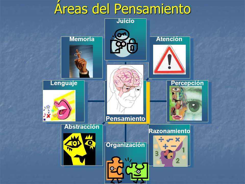 Áreas del Pensamiento Percepción: es la habilidad de que nuestra mente entienda la informacion que nuestros sentidos le envia.