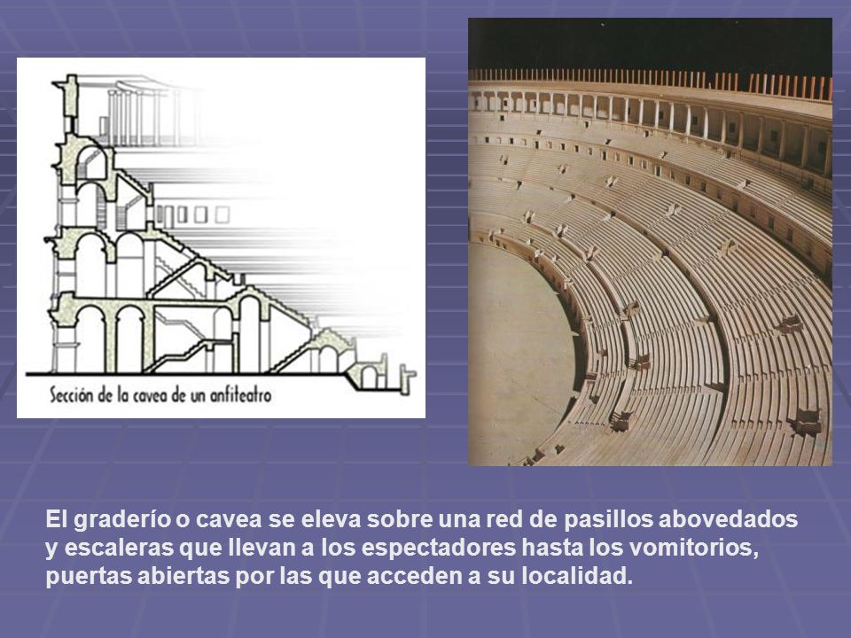 El graderío o cavea se eleva sobre una red de pasillos abovedados y escaleras que llevan a los espectadores hasta los vomitorios, puertas abiertas por las que acceden a su localidad.