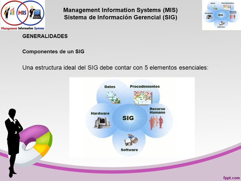 Una estructura ideal del SIG debe contar con 5 elementos esenciales: