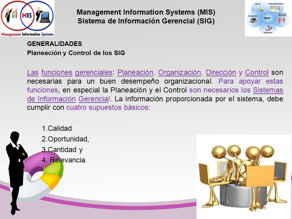 Management Information Systems (MIS) Sistema de Información Gerencial (SIG)