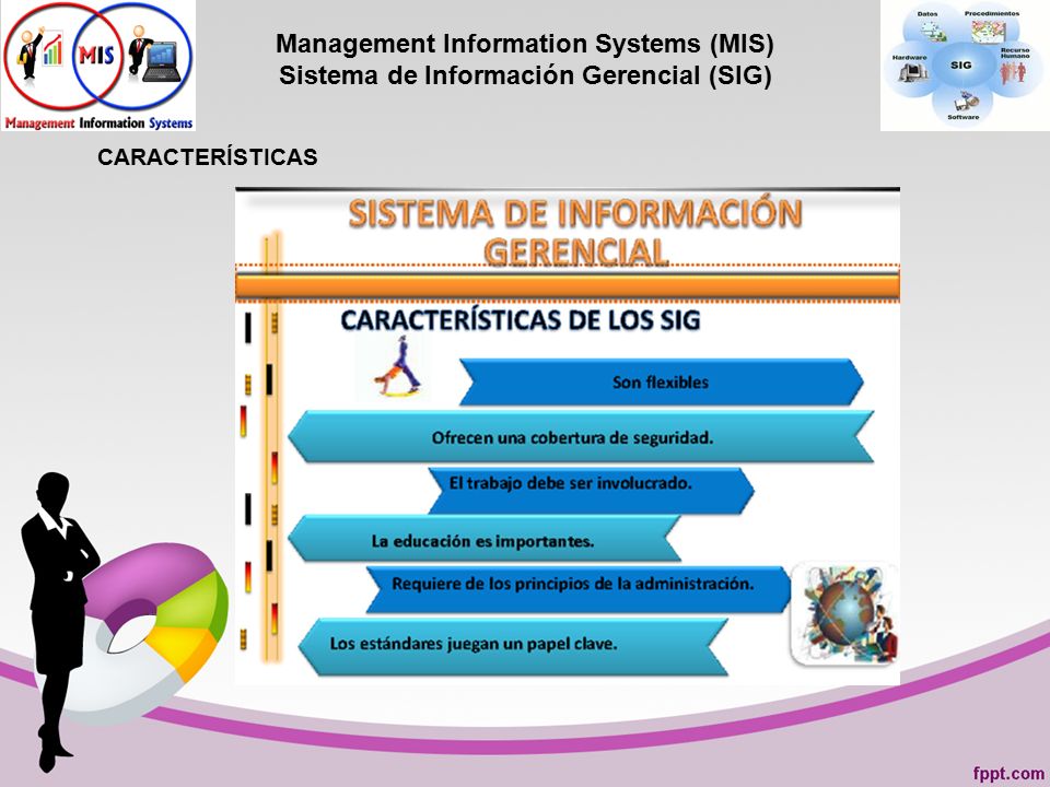 Management Information Systems (MIS) Sistema de Información Gerencial (SIG)