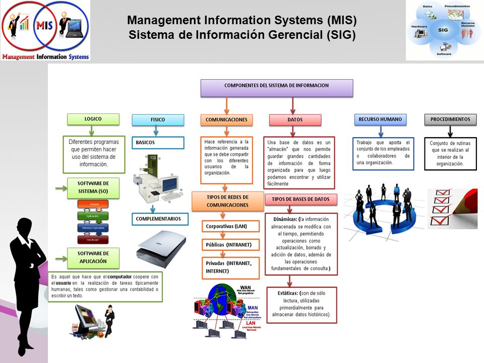 Management Information Systems (MIS) Sistema de Información Gerencial (SIG)