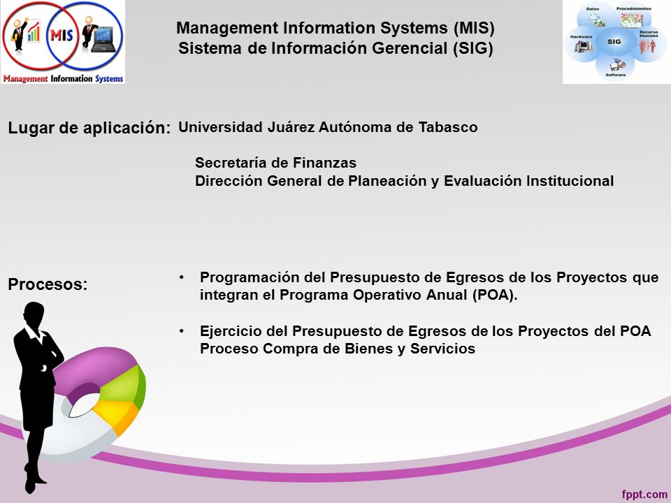 Management Information Systems (MIS) Sistema de Información Gerencial (SIG)